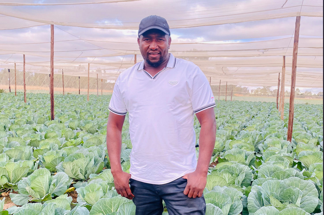 Fafa Green Veggies — Midvaal vegetable farm