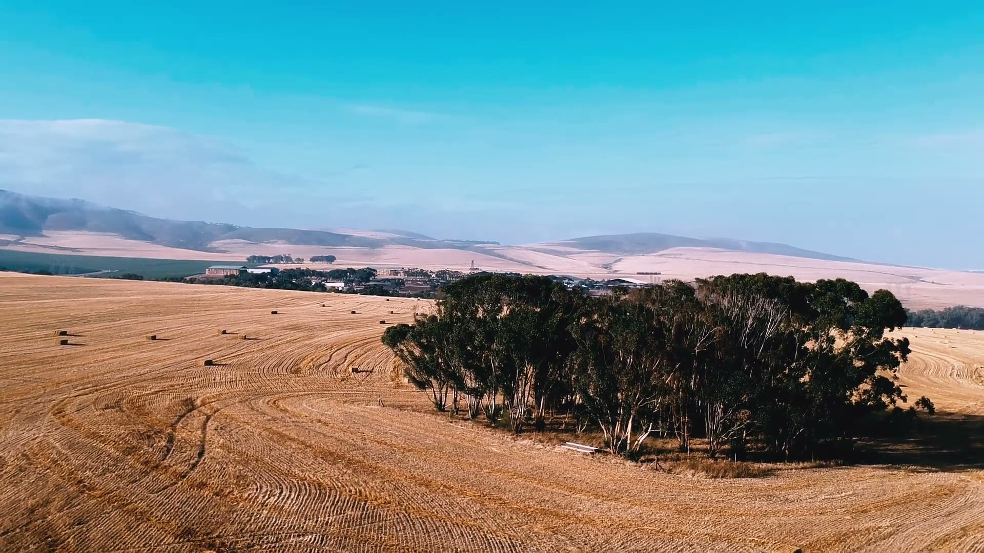 South African crop field at planting — Pumpkn working capital for farmers and agribusinesses